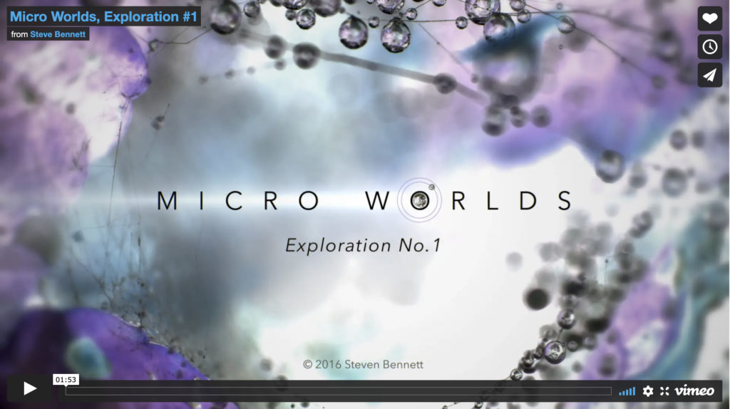 SBennett-Microworlds 1