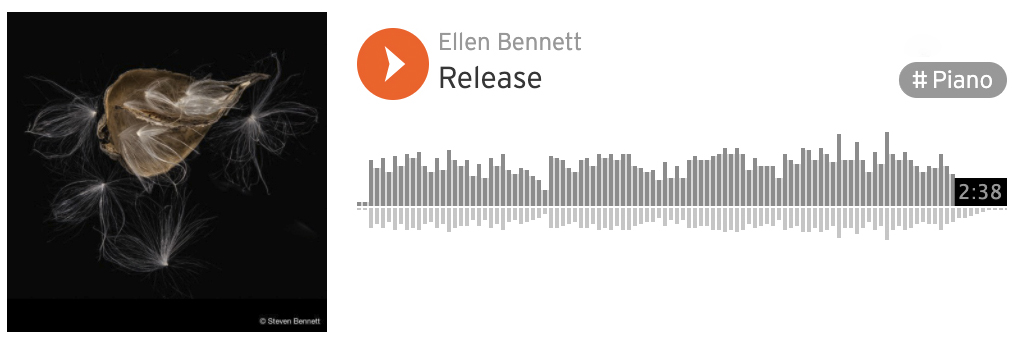 EBennett-Release-FI copy